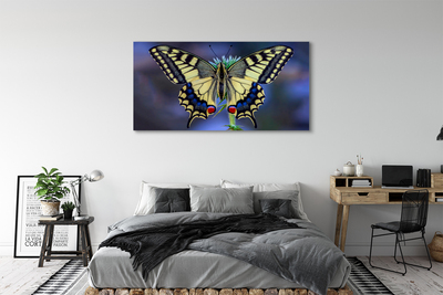 Canvas print Butterfly on flower