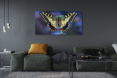 Canvas print Butterfly on flower