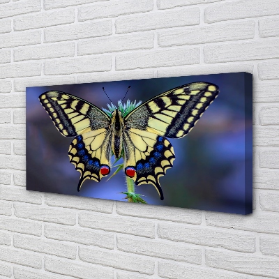 Canvas print Butterfly on flower