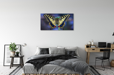 Canvas print Butterfly on flower