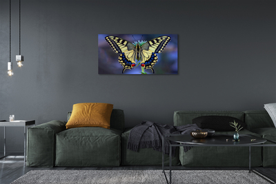 Canvas print Butterfly on flower