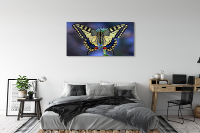 Canvas print Butterfly on flower