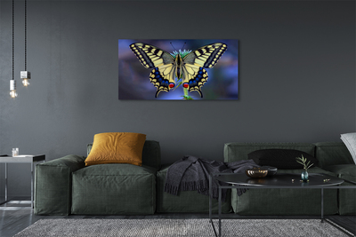 Canvas print Butterfly on flower