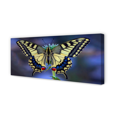 Canvas print Butterfly on flower