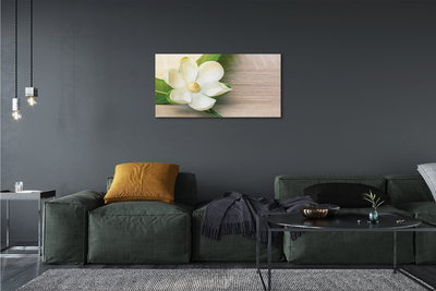 Canvas print White magnolia