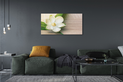 Canvas print White magnolia