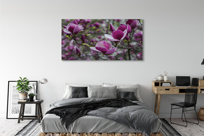 Canvas print Purple magnolia