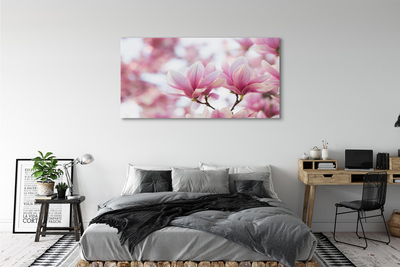 Canvas print Magnolia