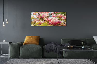 Canvas print Pink magnolias