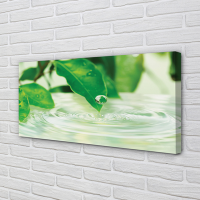 Canvas print Water drops leaves