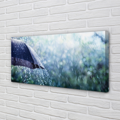 Canvas print Umbrella raindrops