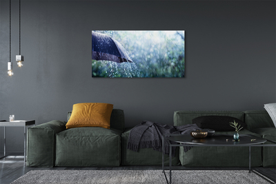 Canvas print Umbrella raindrops