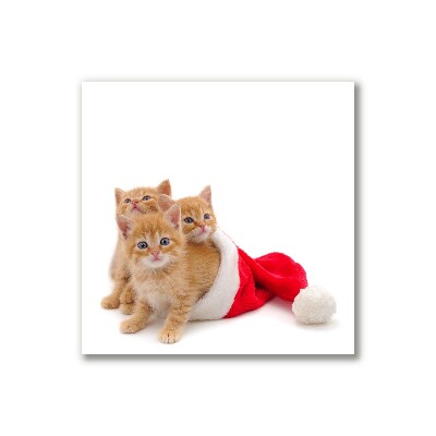 Canvas print Cats Christmas Santa Claus