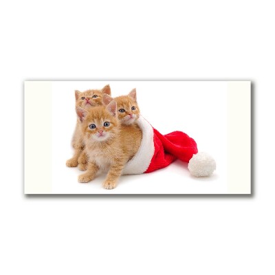 Canvas print Cats Christmas Santa Claus