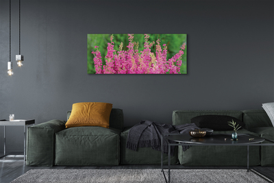 Canvas print Heather flowers