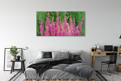 Canvas print Heather flowers
