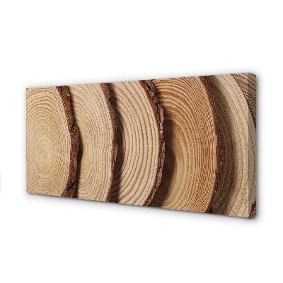 Canvas print Slices of wood grain