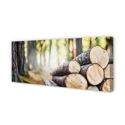 Canvas print Natural forest wood