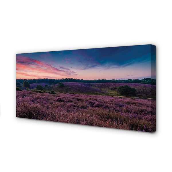 Canvas print Heidenfeld