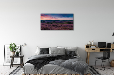 Canvas print Heidenfeld