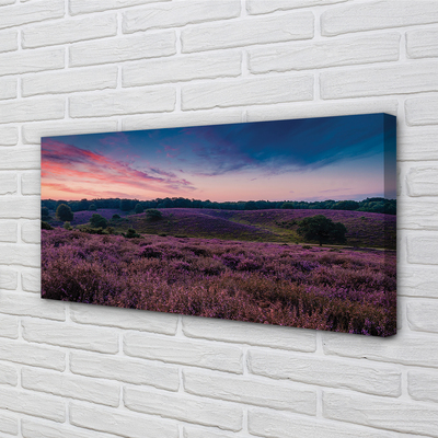 Canvas print Heidenfeld