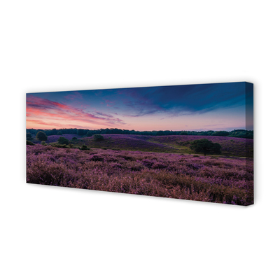 Canvas print Heidenfeld