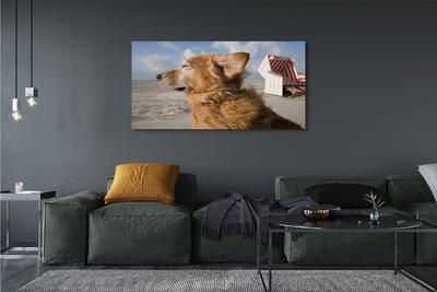 Canvas print Brown dog beach