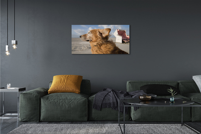 Canvas print Brown dog beach