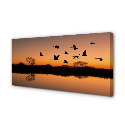 Canvas print Sunset flying birds
