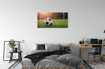 Canvas print Grass football gateway
