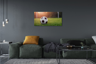 Canvas print Grass football gateway
