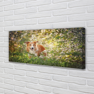 Canvas print Dog flowers forest