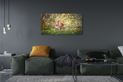 Canvas print Dog flowers forest