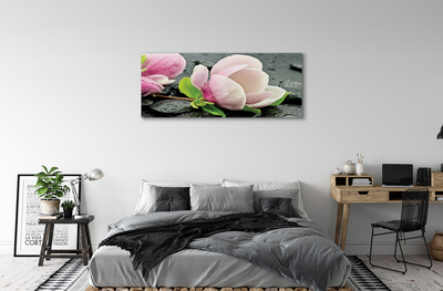 Canvas print Magnolia stones