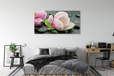Canvas print Magnolia stones
