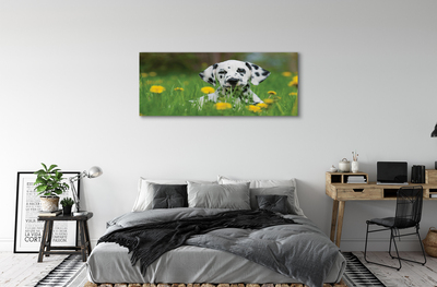 Canvas print Prairie dog