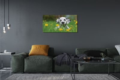 Canvas print Prairie dog