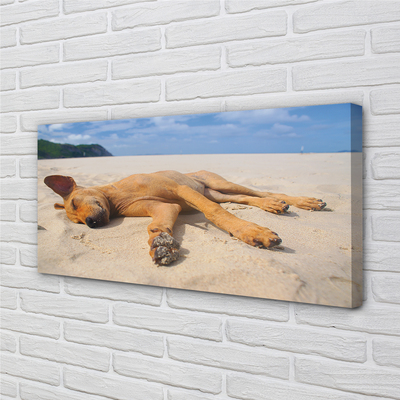 Canvas print Put dog beach