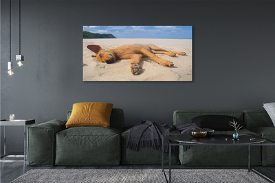 Canvas print Put dog beach