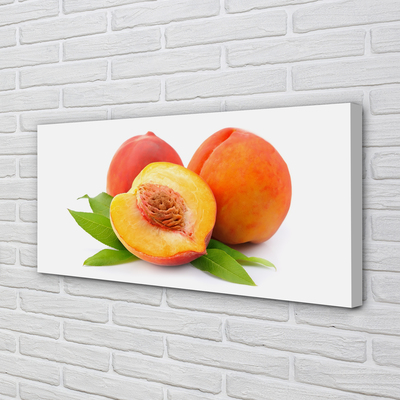 Canvas print Apricot