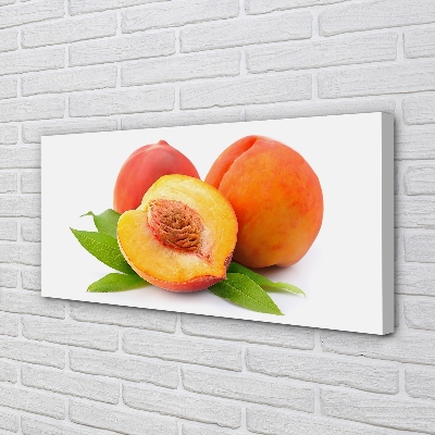 Canvas print Apricot