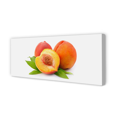 Canvas print Apricot