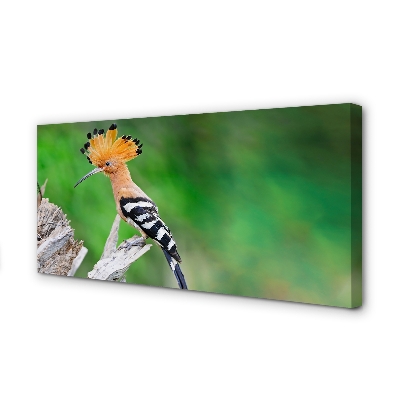 Canvas print Colorful parrot tree