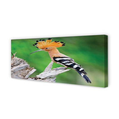 Canvas print Colorful parrot tree