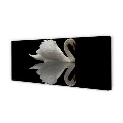Canvas print Swan at night