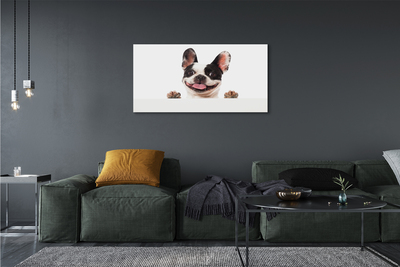Canvas print Dog