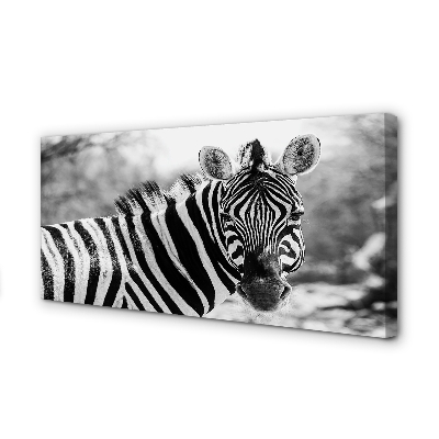 Canvas print Zebra retro