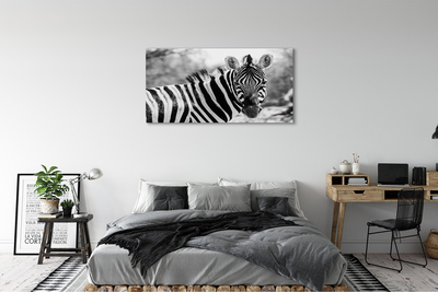 Canvas print Zebra retro