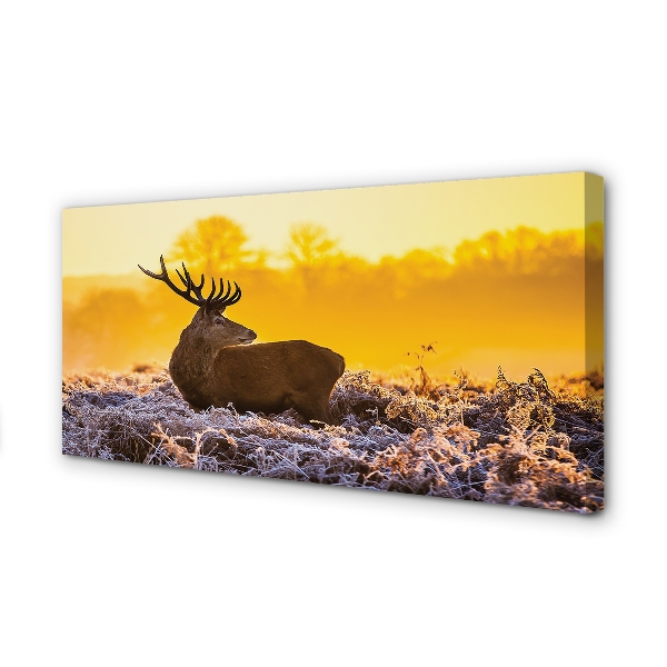 Canvas print Deer sunrise winter sun
