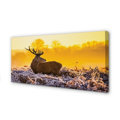 Canvas print Deer sunrise winter sun